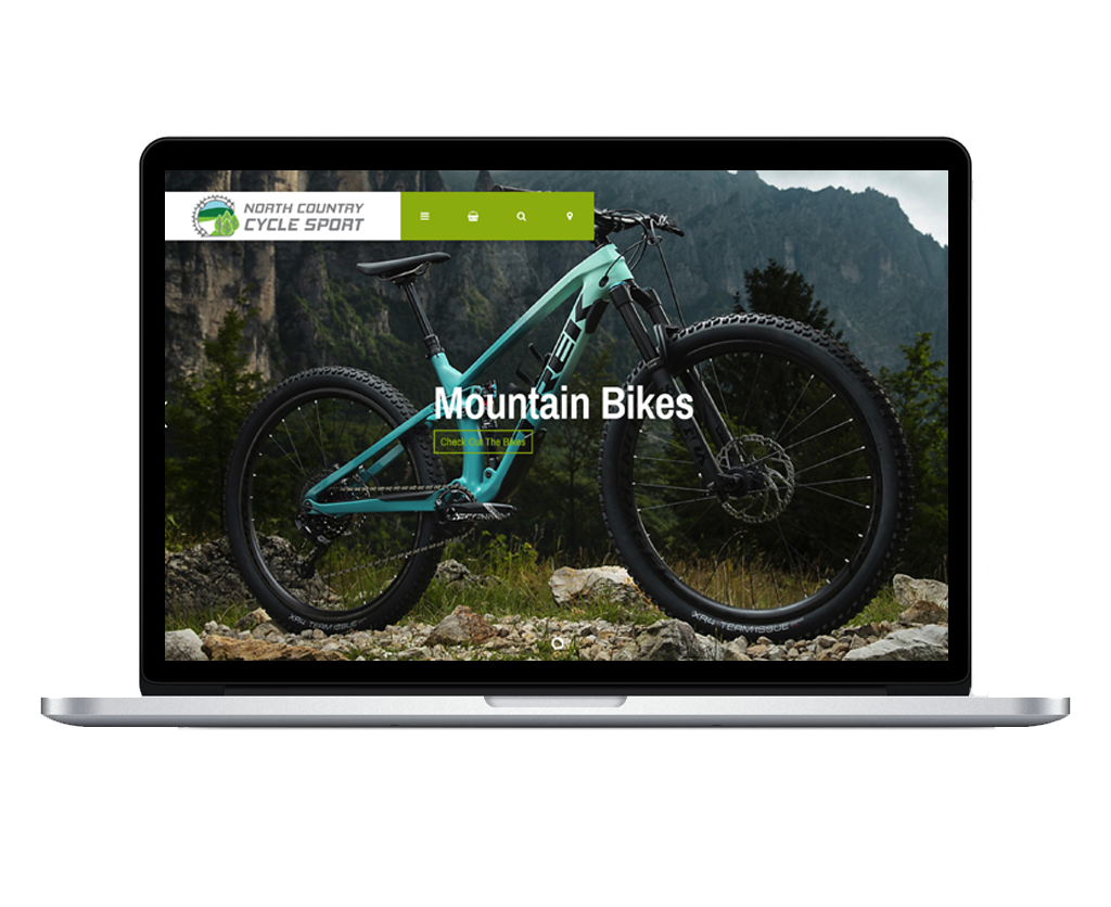 Ecommerce Web Development
